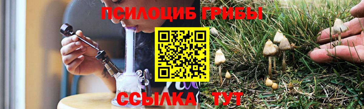 Галлюциногенные грибы Cubensis  Галлюциногенные грибы Psilocybine cubensis  Вход с VPN  Заволжье 